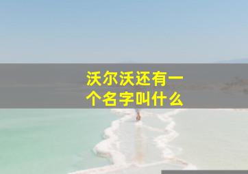 沃尔沃还有一个名字叫什么