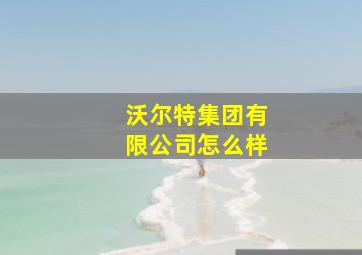 沃尔特集团有限公司怎么样