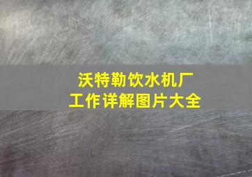 沃特勒饮水机厂工作详解图片大全