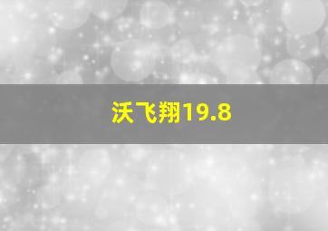 沃飞翔19.8