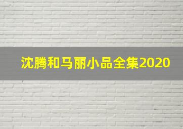 沈腾和马丽小品全集2020