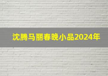 沈腾马丽春晚小品2024年