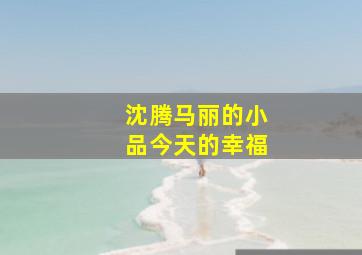 沈腾马丽的小品今天的幸福