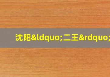 沈阳“二王”案