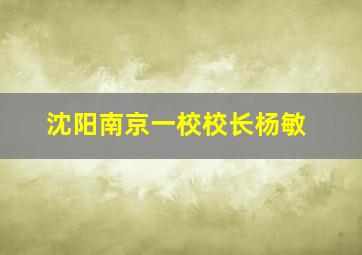 沈阳南京一校校长杨敏