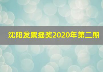 沈阳发票摇奖2020年第二期