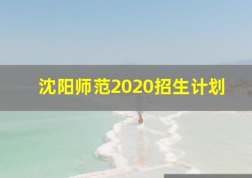 沈阳师范2020招生计划