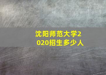 沈阳师范大学2020招生多少人