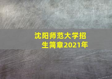 沈阳师范大学招生简章2021年