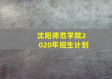 沈阳师范学院2020年招生计划