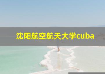 沈阳航空航天大学cuba