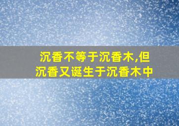 沉香不等于沉香木,但沉香又诞生于沉香木中