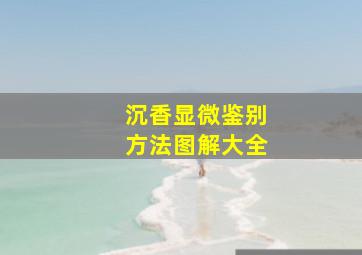 沉香显微鉴别方法图解大全