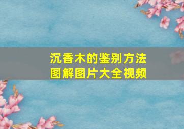 沉香木的鉴别方法图解图片大全视频