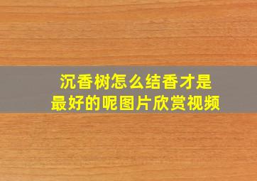 沉香树怎么结香才是最好的呢图片欣赏视频