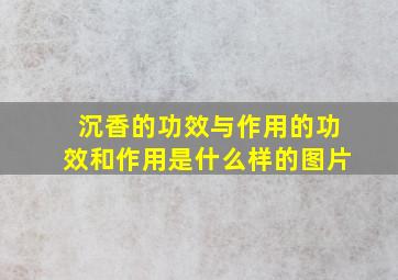 沉香的功效与作用的功效和作用是什么样的图片