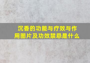 沉香的功能与疗效与作用图片及功效禁忌是什么