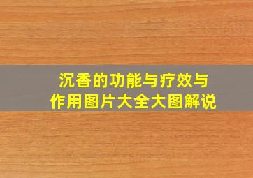 沉香的功能与疗效与作用图片大全大图解说