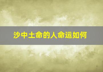 沙中土命的人命运如何