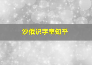 沙俄识字率知乎