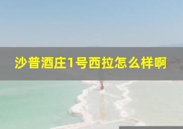 沙普酒庄1号西拉怎么样啊