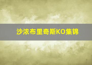 沙浓布里奇斯KO集锦