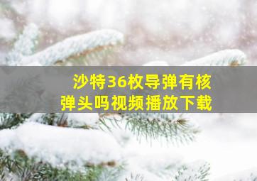 沙特36枚导弹有核弹头吗视频播放下载