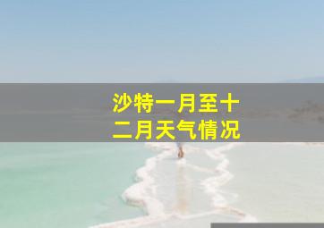 沙特一月至十二月天气情况