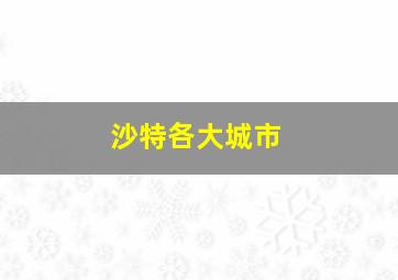 沙特各大城市