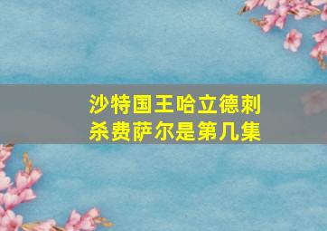 沙特国王哈立德刺杀费萨尔是第几集