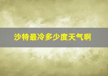 沙特最冷多少度天气啊