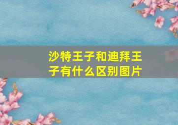 沙特王子和迪拜王子有什么区别图片