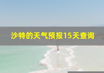 沙特的天气预报15天查询