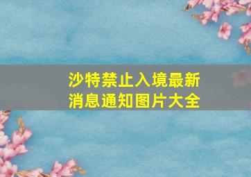 沙特禁止入境最新消息通知图片大全