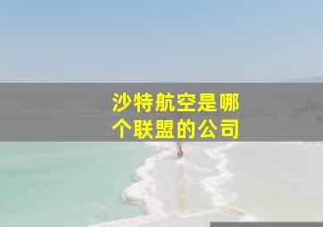 沙特航空是哪个联盟的公司