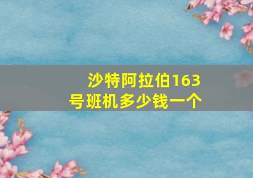 沙特阿拉伯163号班机多少钱一个