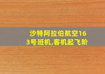 沙特阿拉伯航空163号班机,客机起飞阶