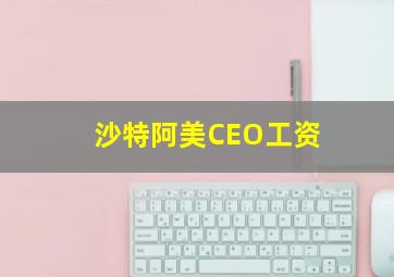 沙特阿美CEO工资