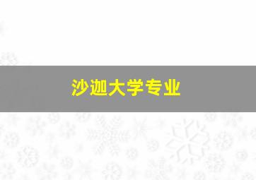 沙迦大学专业