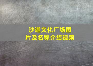 沙迦文化广场图片及名称介绍视频