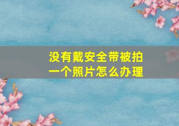 没有戴安全带被拍一个照片怎么办理