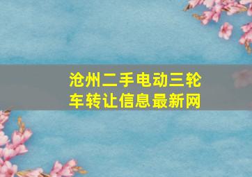 沧州二手电动三轮车转让信息最新网