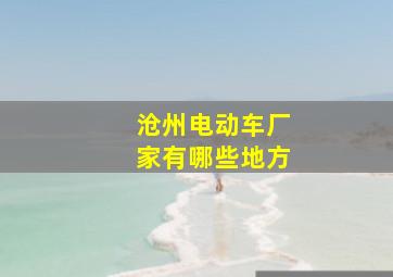 沧州电动车厂家有哪些地方