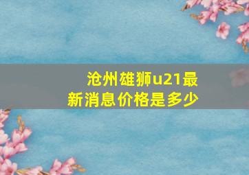 沧州雄狮u21最新消息价格是多少