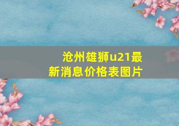 沧州雄狮u21最新消息价格表图片