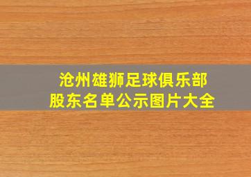 沧州雄狮足球俱乐部股东名单公示图片大全