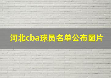 河北cba球员名单公布图片