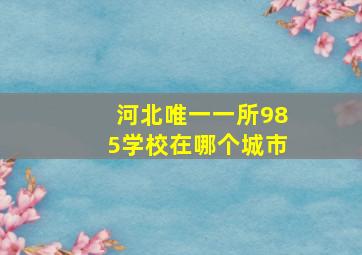 河北唯一一所985学校在哪个城市