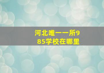 河北唯一一所985学校在哪里