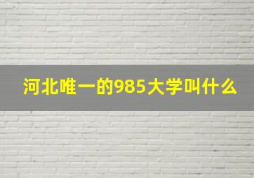 河北唯一的985大学叫什么